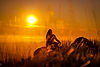 DSC09677.JPG