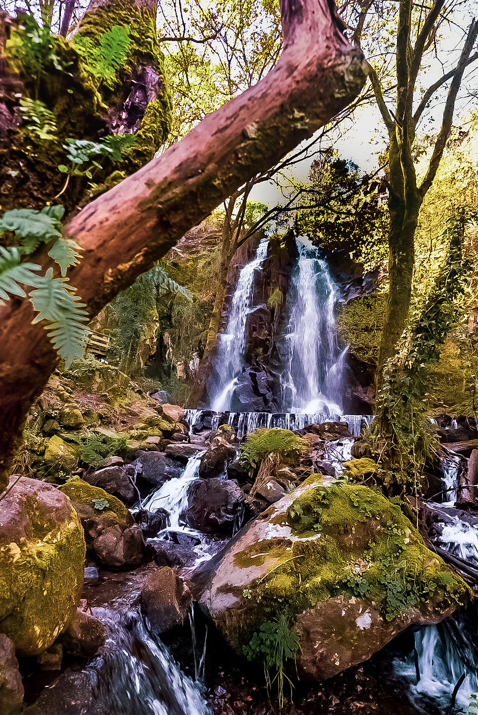 Let’s reclaim what matters.