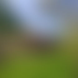 The Real Cost of Living Off-Grid in Portugal: What Nobody Tells You About Money, Freedom, and Survival