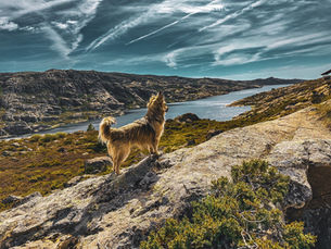 Exploring the Majestic Serra de Estrela: Portugal's Hidden Gem