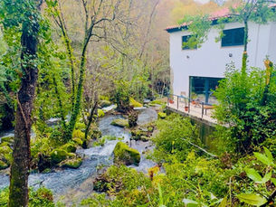 From Boardroom to River: What Nobody Tells You About Leaving Corporate for an Off-Grid Life