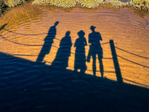 The True Failure: Not Living the Life You Want to Live