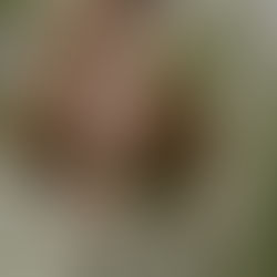 𝐓𝐡𝐞 𝐒𝐞𝐜𝐫𝐞𝐭 𝐋𝐚𝐧𝐠𝐮𝐚𝐠𝐞 𝐨𝐟 𝐘𝐨𝐮𝐫 𝐃𝐚𝐲𝐝𝐫𝐞𝐚𝐦𝐬.