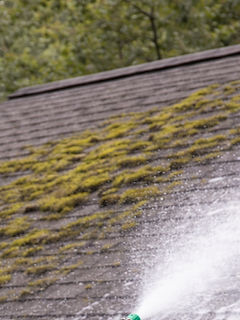 Dirty residential roof covered in algae prior to cleaning