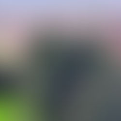 Avanzan obras de cárcel agrícola en Yarumal, Antioquia