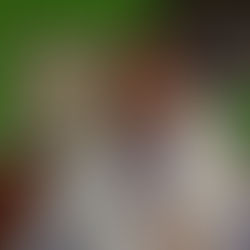 Indígenas construyen viviendas en Puerres