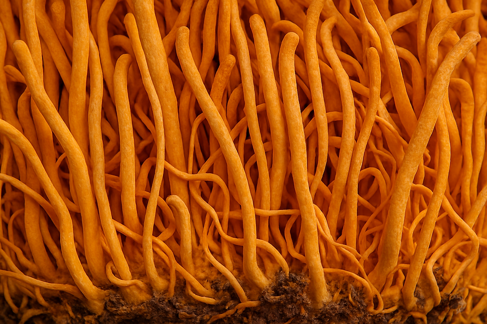 ree