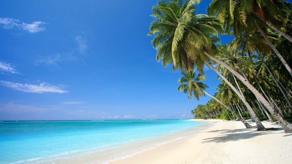 Pristine coastline of Zanzibar