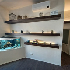 Emmelux-illuminazione-acquario-led-elettricista-firenze-toscana