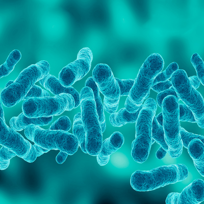 Legionella e impianti idrici: prevenzione e trattamento al punto d’uso
