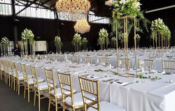 gold_tiffany_chairs_the_park