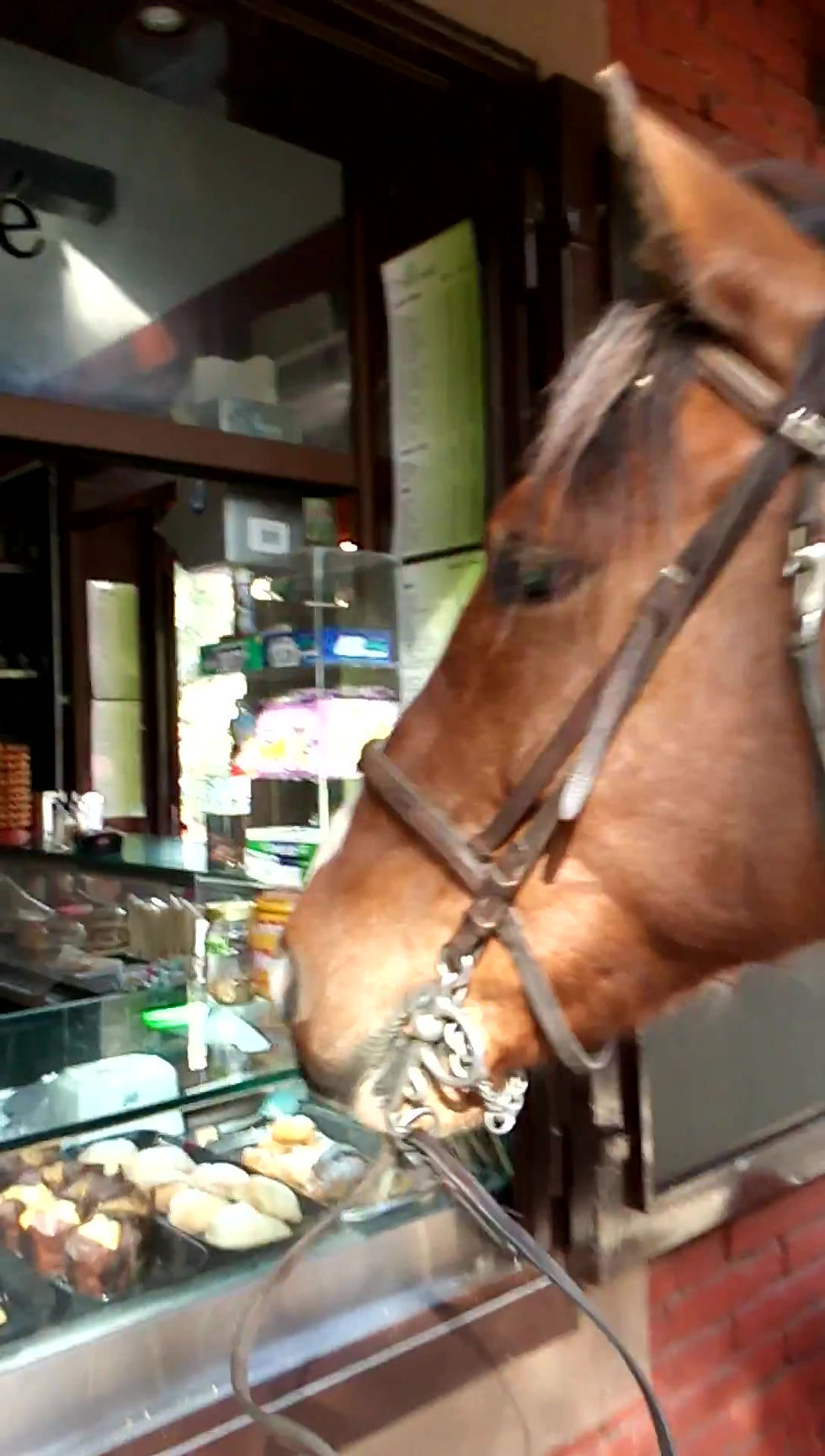 Thumbnail: Passeggiata di Gusto