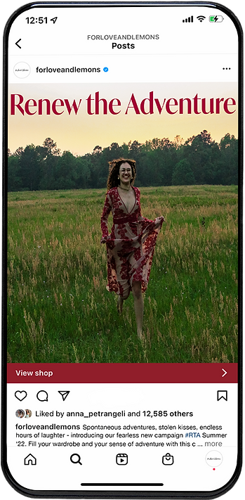 completed instagram ad for fl&l.png