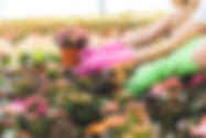 AdobeStock_200507408.jpeg