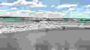 the ocean