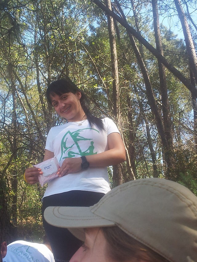 Caminho de Santiago