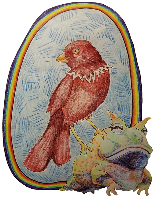 Drawing of a red bird perched on a green toad with a blue oval background and rainbow outline