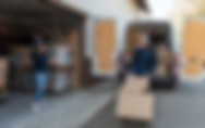 Untitled design (47).png