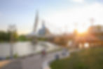 shutterstock_1133374220.jpg