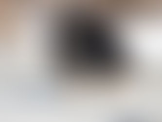 Шоу-брид перспектива у щенка: миф или реальность?