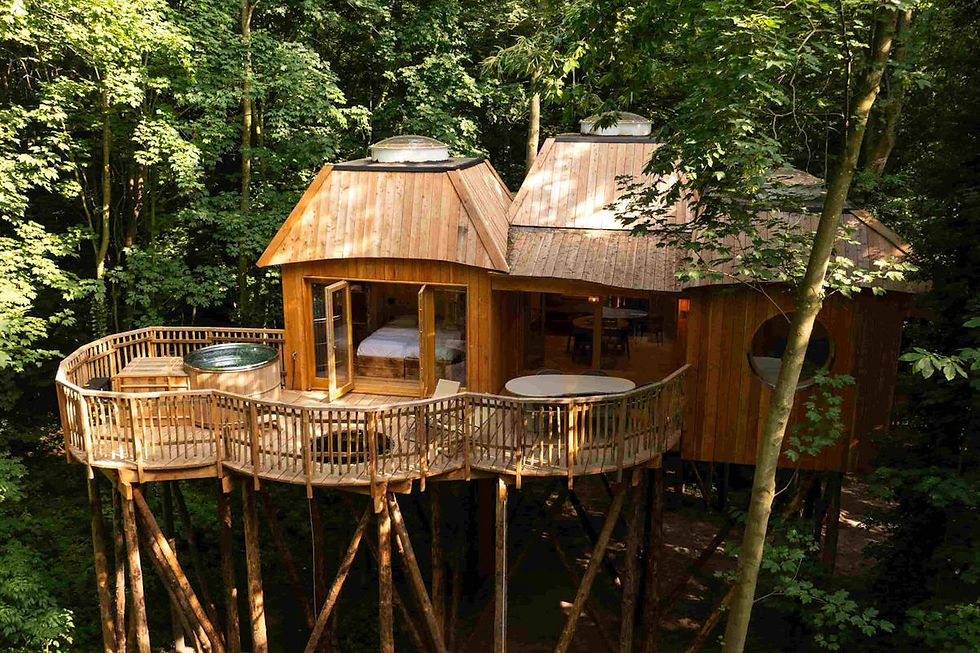 cabane perchée dans les arbres avec bain nordique et vue sur la forêt proche de Paris