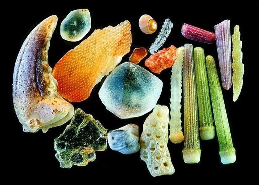 Grains de sable au microscope