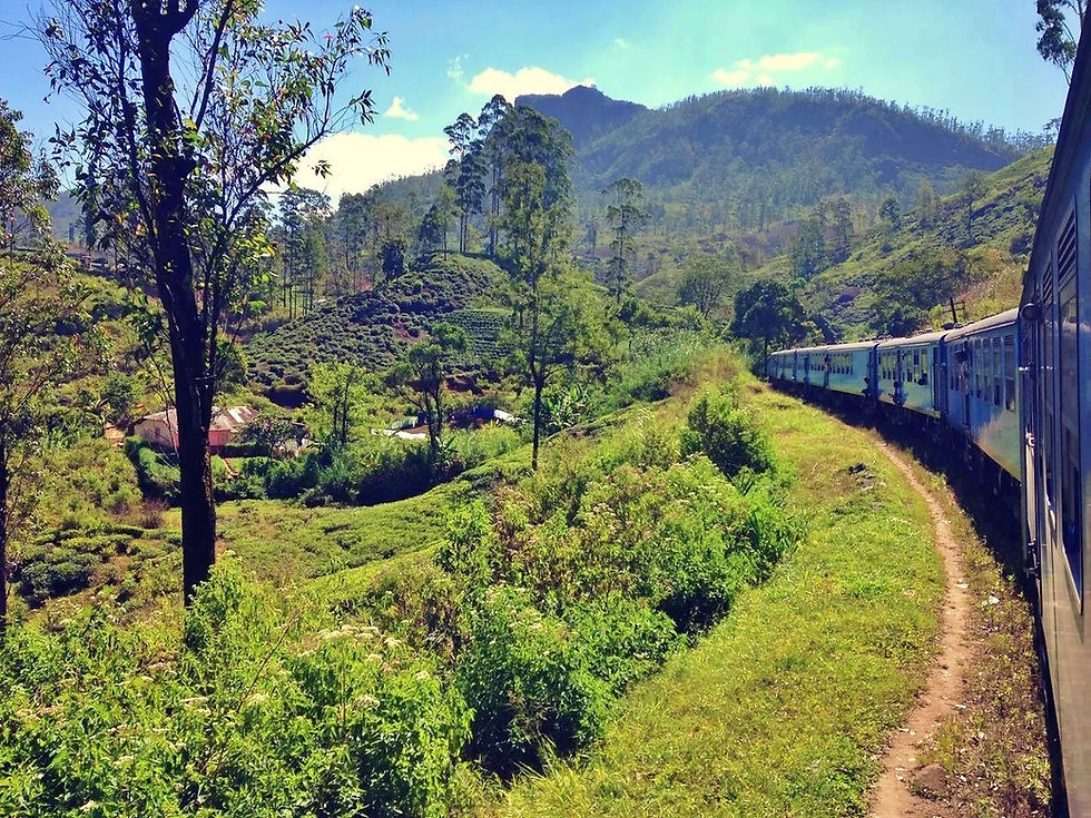 Organiser un voyage au SRI LANKA