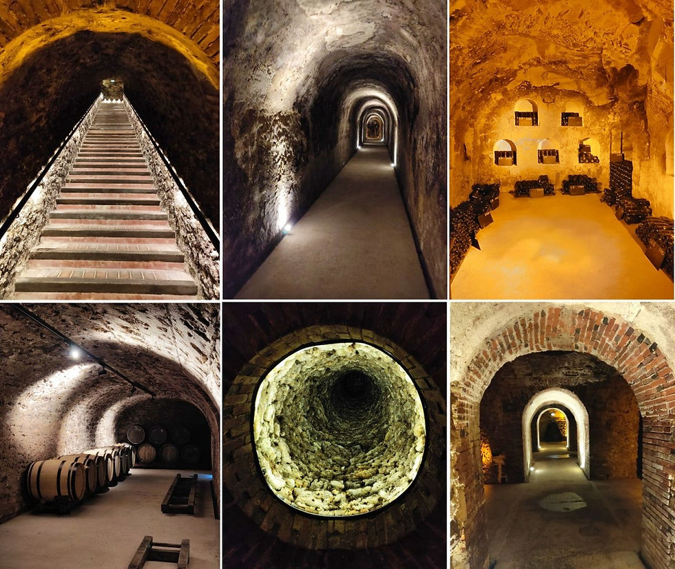 visite cave Epernay