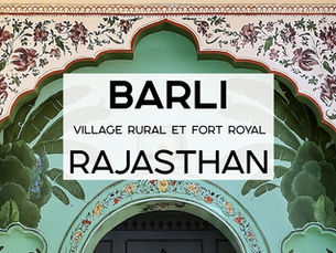 Barli en Inde, fort du Rajasthan 