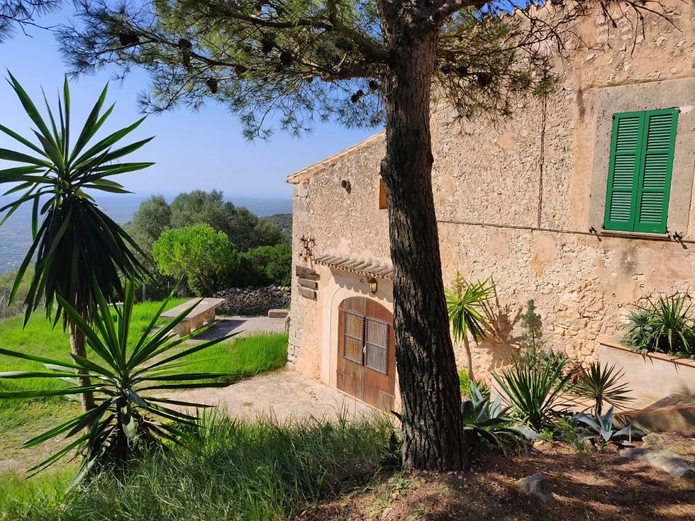 A faire à majorque, randa