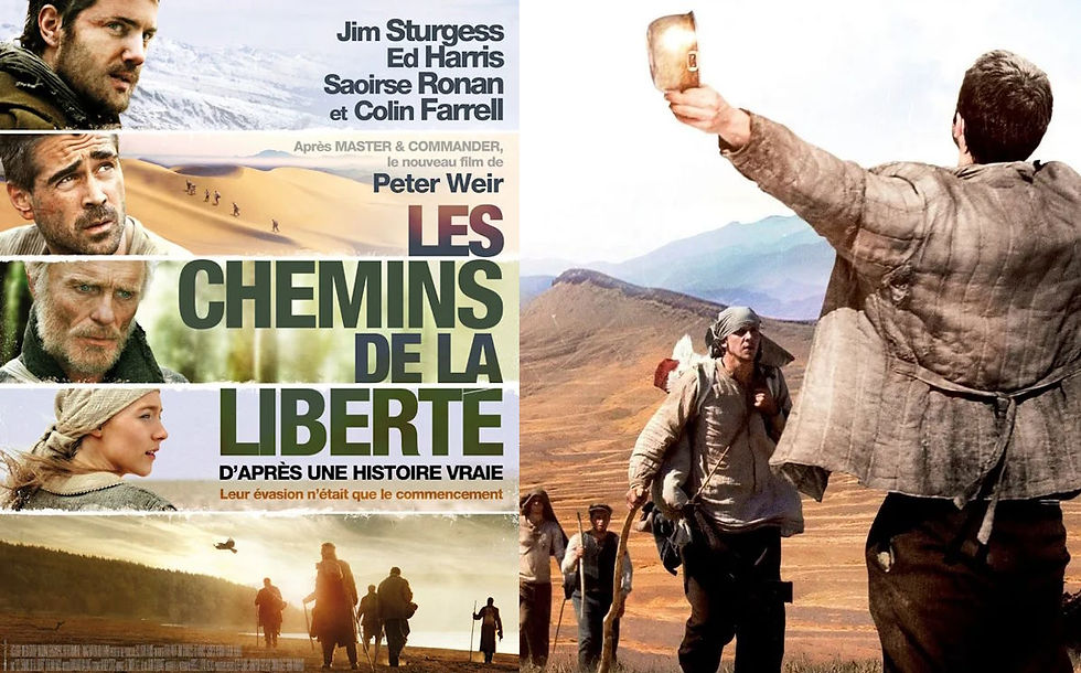 film Les Chemins de la liberté