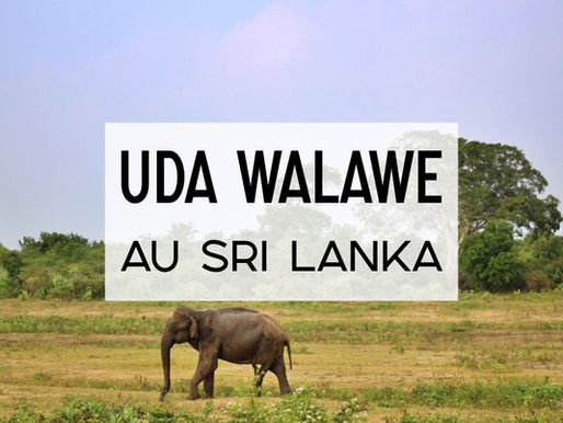 Uda Walawe au Sri Lanka