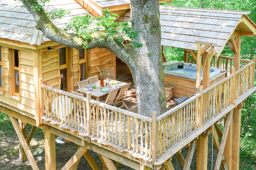 Cabane aux Oiseaux perchée dans les arbres avec jacuzzi en pleine forêt proche de Paris