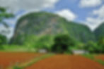 Mogotes Vallée de Viñales de Cuba