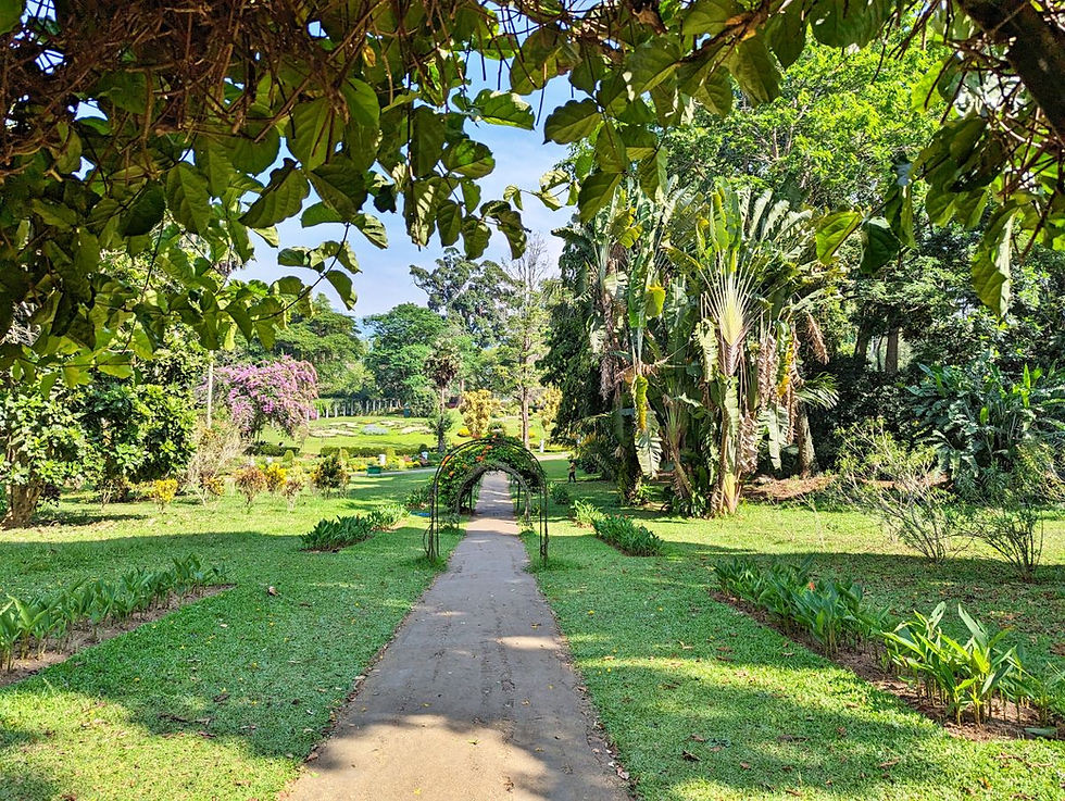 Jardin Botanique Kandy Sri Lanka