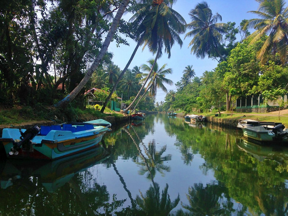 NEGOMBO : Où loger ? À voir et à faire