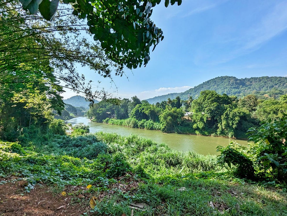 Jardin botanique Kandy