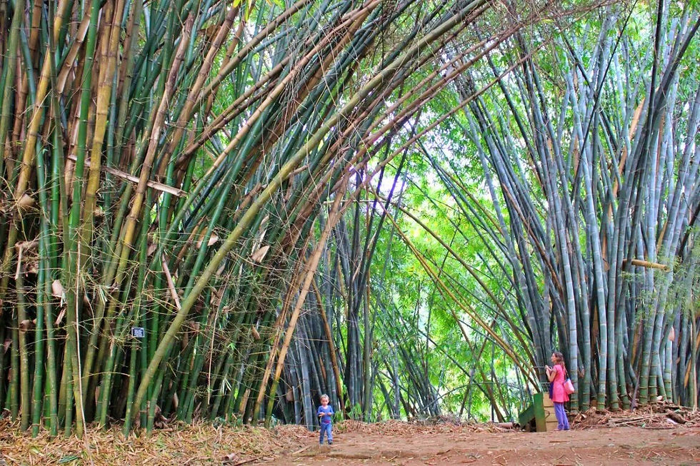 Liste des démarches pour un voyage au SRI LANKA