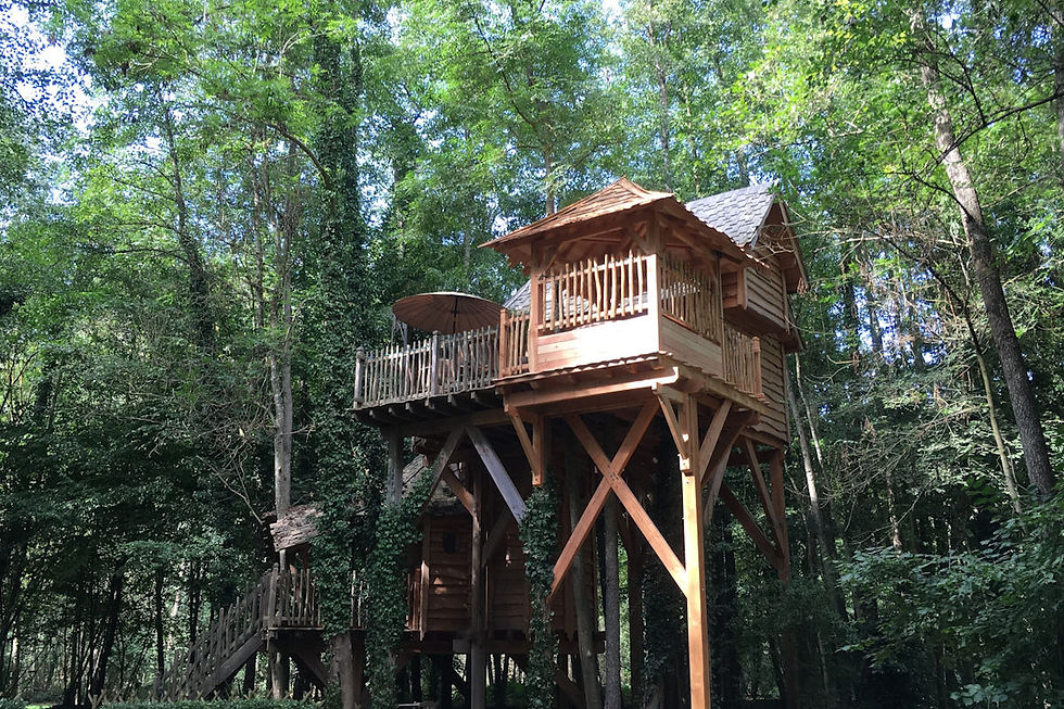 cabane dans les arbres avec jacuzzi en Île-de-France