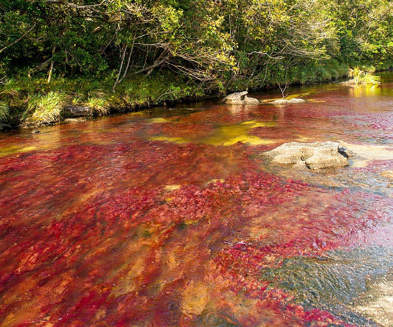 plus eau paysage colombie
