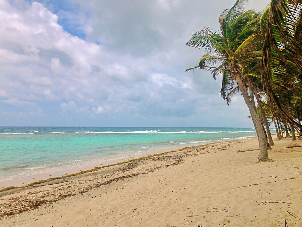 plage du souffleur la désirade en guadeloupe