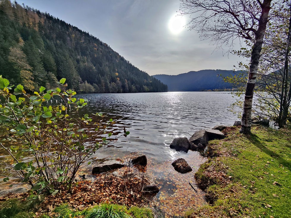 Le Lac de Longemer