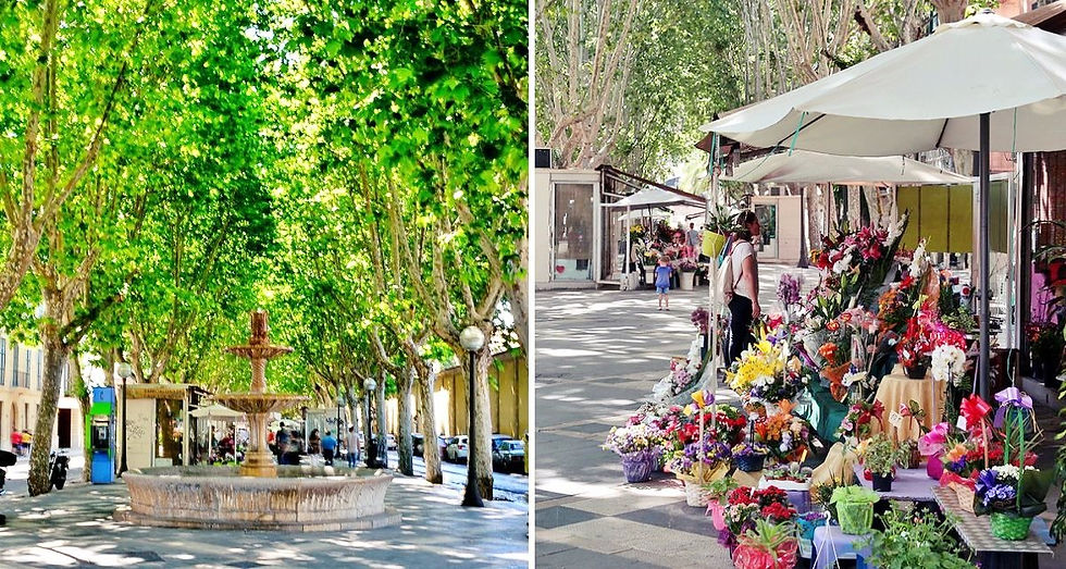 Rambla de Palma de Majorque