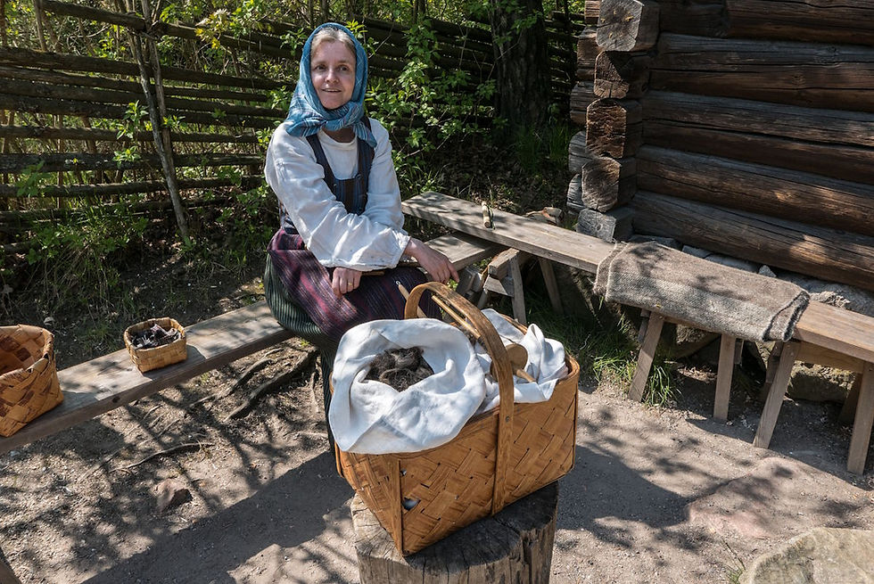 skansen stockholm 3 jours