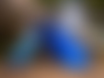 Paille filtrante de survie eau non potable