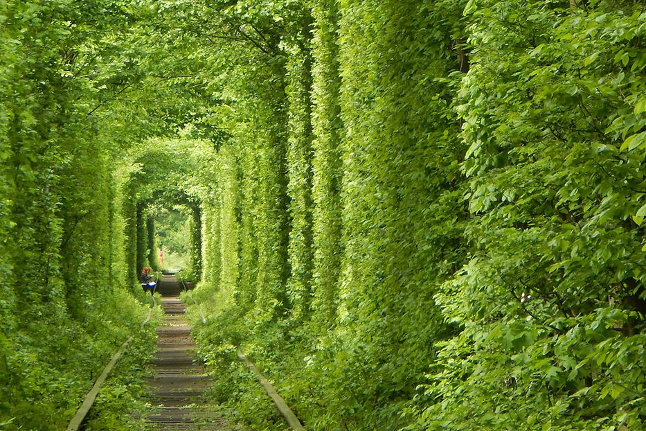 Le Tunnel de l’Amour, Ukraine