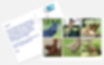 Carte postale mypostcard