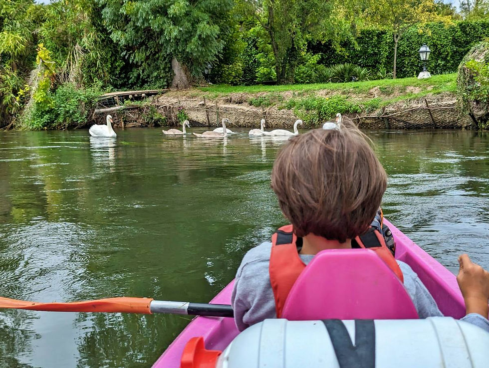 Kayak avec des cygnes