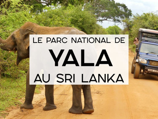 Le Parc National de Yala au Sri Lanka