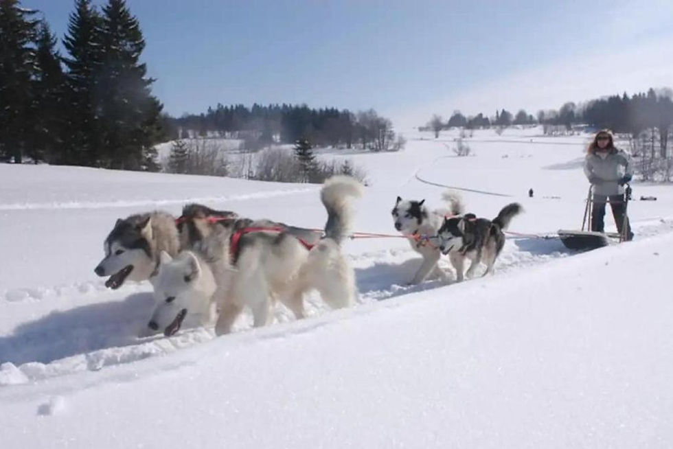 Passer Noël dans le Haut-Jura aux Moussières